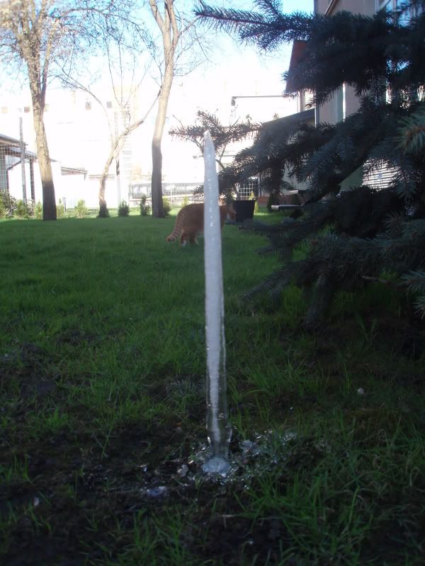 Paveikslėlis