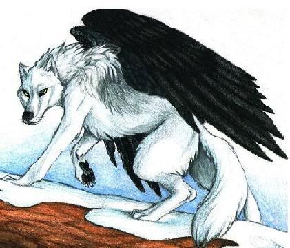 pics of wolves with wings