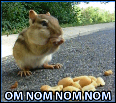 om-nom-nom-nom_468w.gif