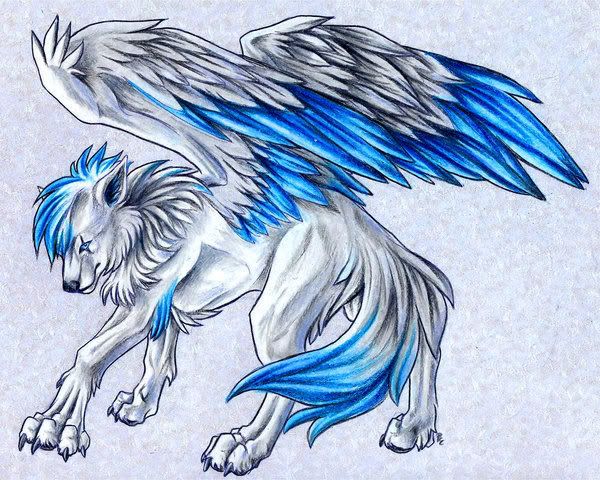 WingedWolf.jpg anime winged blue wolf image by bumblebeexxx_01