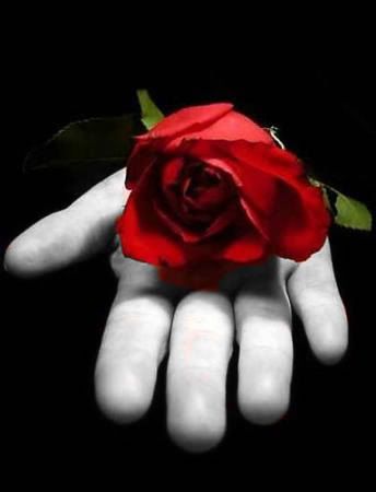 colour splash by shruti Pictures, Images and Photos