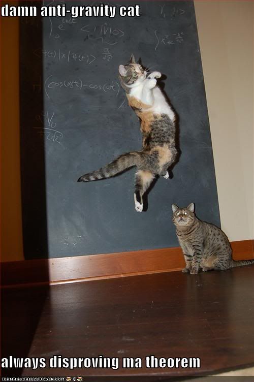 Cat Gravity