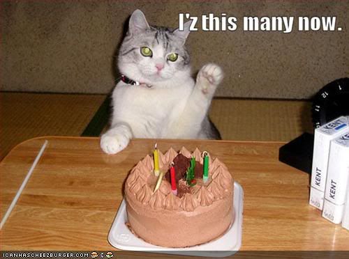 funny birthday cat pictures. funny-pictures-irthday-cat-