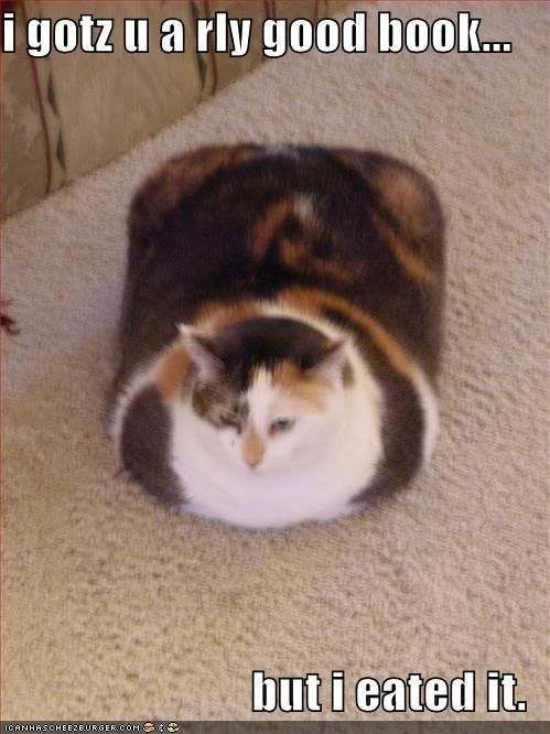funny fat cat pictures. funny-pictures-fat-cat-ate-