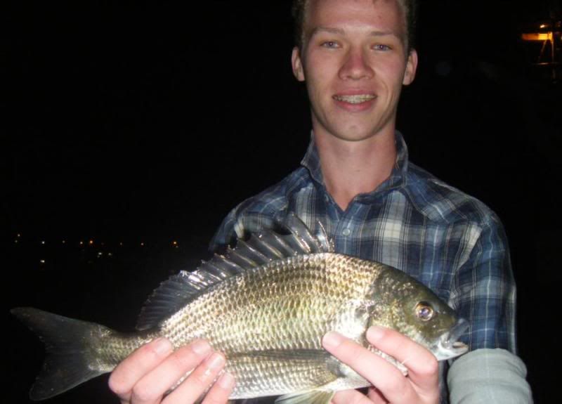 bream-3.jpg