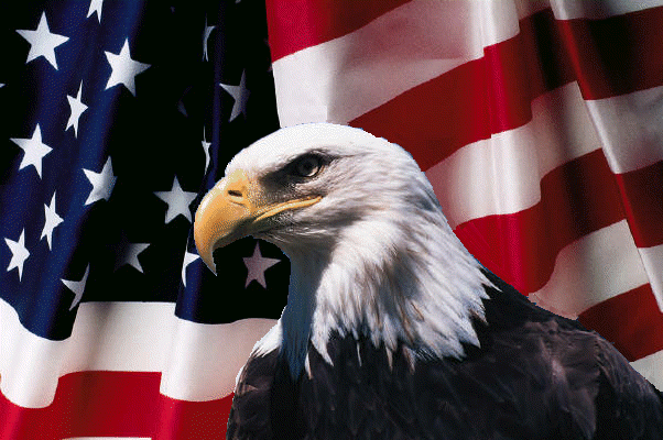 USA Flag,Bald Eagle