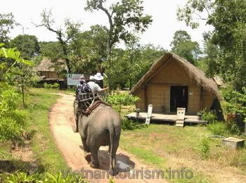 Visitor_riding_elephant_in_BanDon_v.jpg