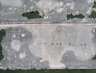 post secret Pictures, Images and Photos