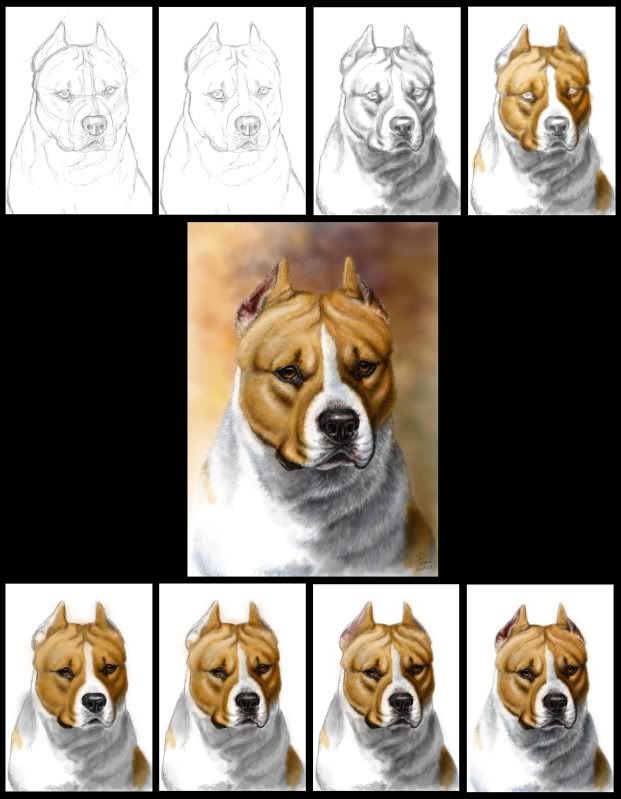 amstaff-ODINinprogress.jpg