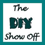 The DIY Show Off