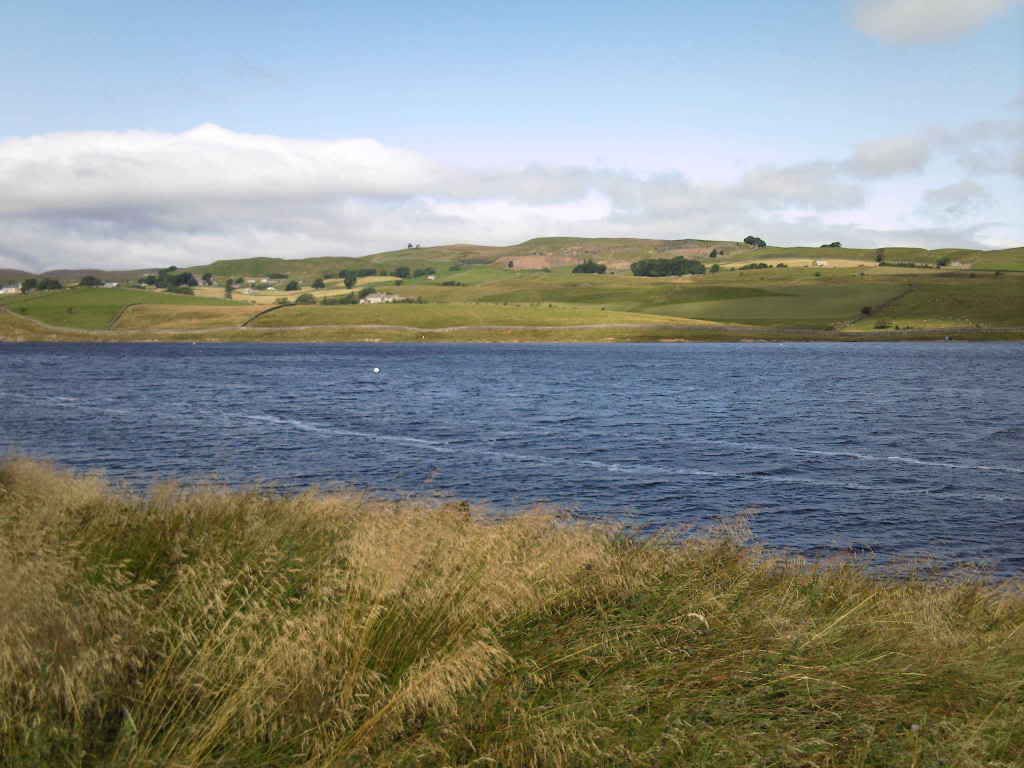 Photo-0002.jpg