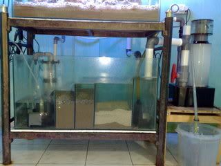 06012009280-2.jpg