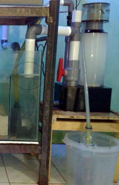 06012009280_2.jpg