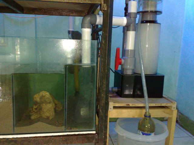 15122008183.jpg