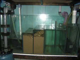 IMG_1948.jpg