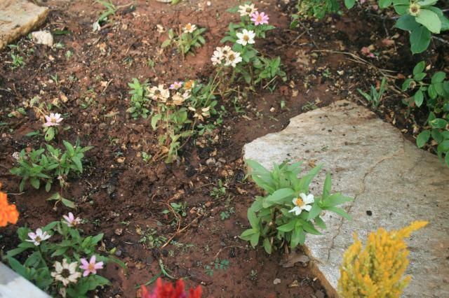  photo IMG_4850_zps4706f90b.jpg