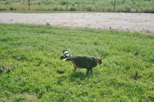 photo IMG_4863_zps46a92cf6.jpg