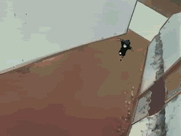1211264010373.gif