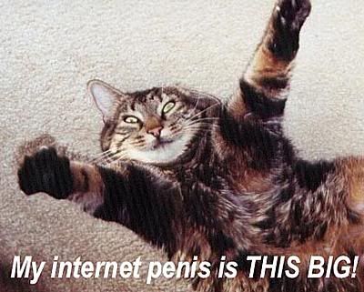 internetpeniscat.jpg