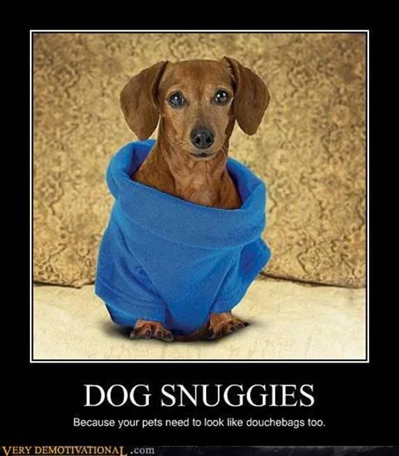 dogsnuggies.jpg