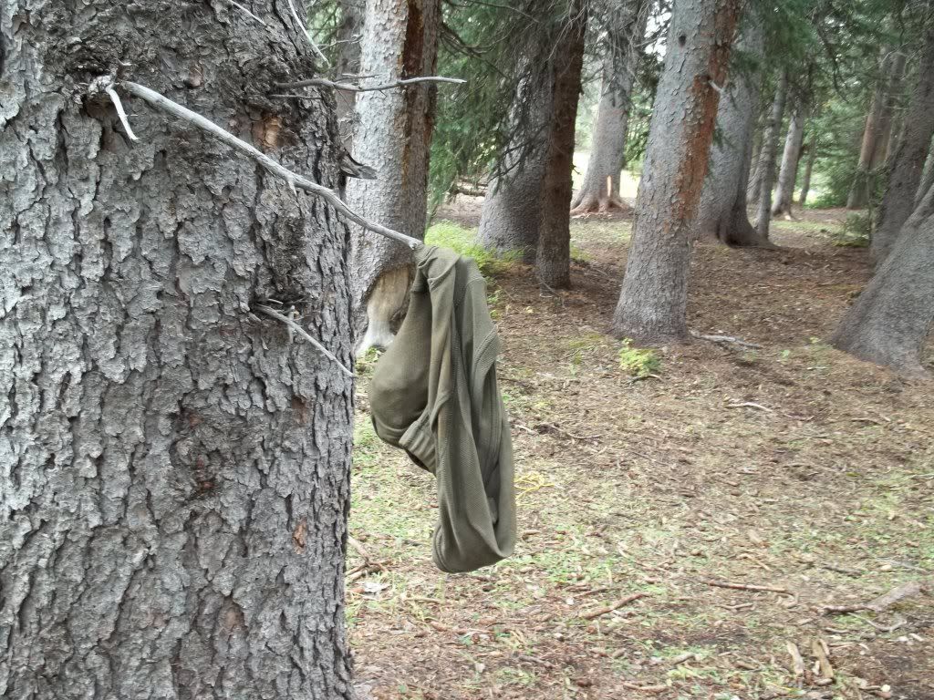 Another underwear tree