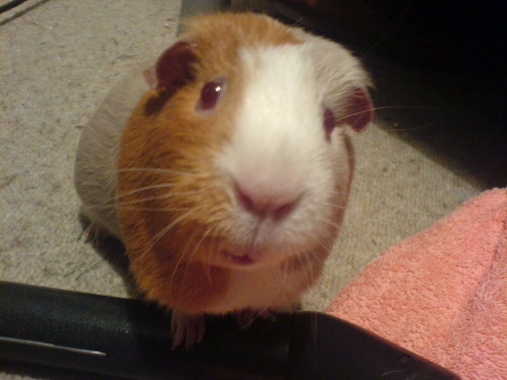 DSC00721.jpg