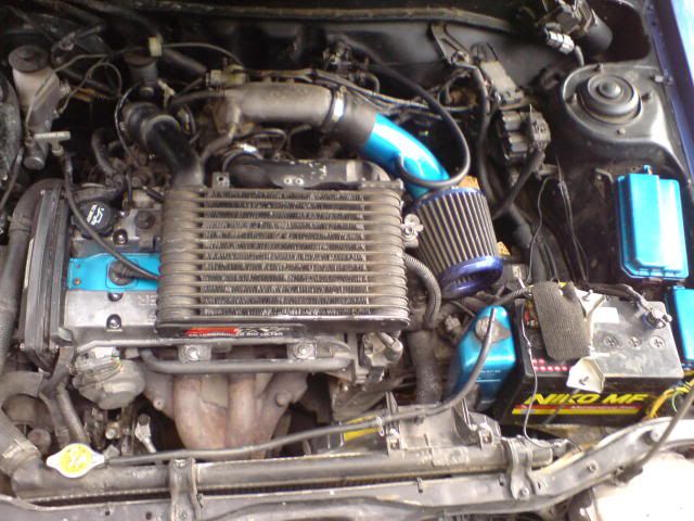 DSC02253-1.jpg
