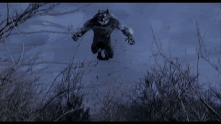 werewolf.gif image by Papa_Raven