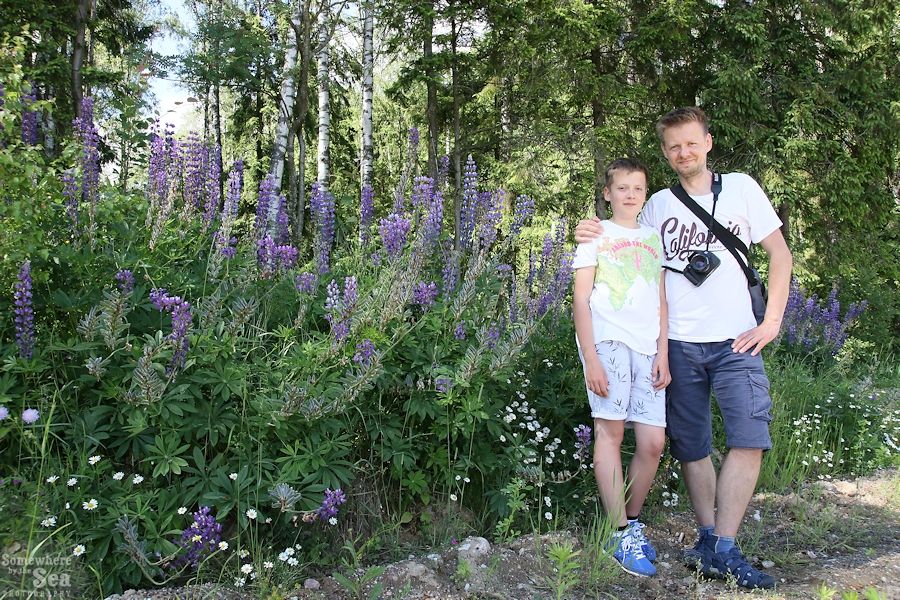 photo 2017 06 18 - 13a_b_zps7ezbcnrb.jpg