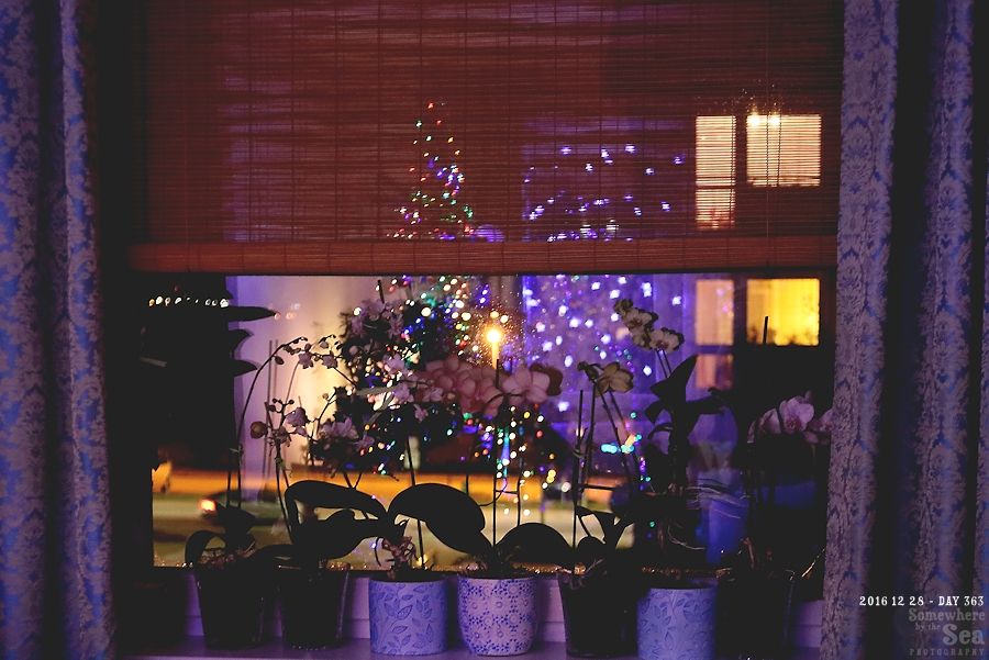 photo 2016 12 29 - 04 Day 364a_b_zpsfpku2gl7.jpg