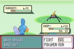 [PokeCommunity.com] R/S/E Monotype Challenge!